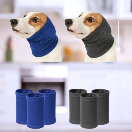 CACHE - OREILLES POUR CHIEN - Chien - enchante