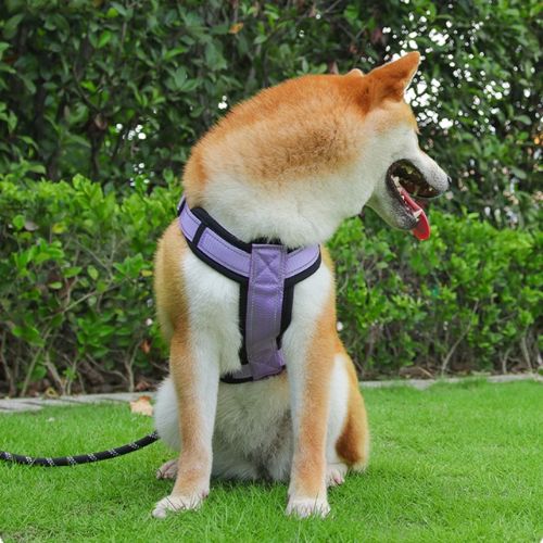 HARNAIS CHIEN | ANTI ÉTRANGLEMENT™ - Chien - enchante