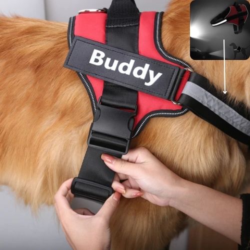 HARNAIS CHIEN ANTI TRACTION | SAFETY ONE™ - Chien - enchante