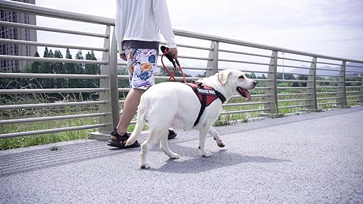 HARNAIS CHIEN ANTI TRACTION | SAFETY ONE™ - Chien - enchante