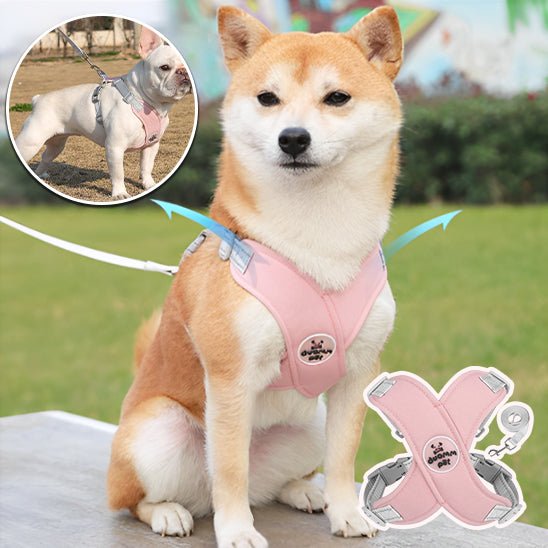 HARNAIS CHIEN | PITOUâą - Chien - enchante