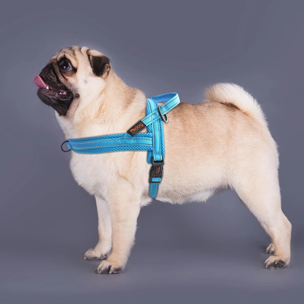 HARNAIS CHIEN REMBOURRÉ - Chien - enchante