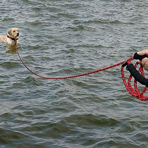LAISSE POUR CHIEN ROBUSTE ET REMBOURRĂE - Chien - enchante