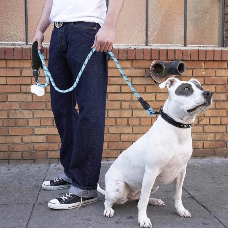 LAISSE POUR CHIEN ROBUSTE ET REMBOURRĂE - Chien - enchante