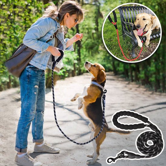 LAISSE POUR CHIEN ROBUSTE ET REMBOURRĂE - Chien - enchante