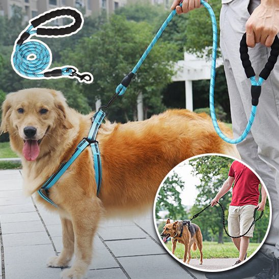 LAISSE POUR CHIEN ROBUSTE ET REMBOURRĂE - Chien - enchante