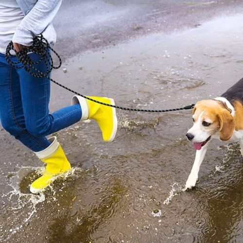 LAISSE POUR CHIEN ROBUSTE ET REMBOURRĂE - Chien - enchante