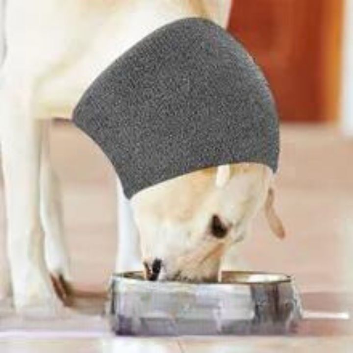 CACHE-OREILLES INDISPENSABLE | FUNNY CAP ™ - Chien-enchante