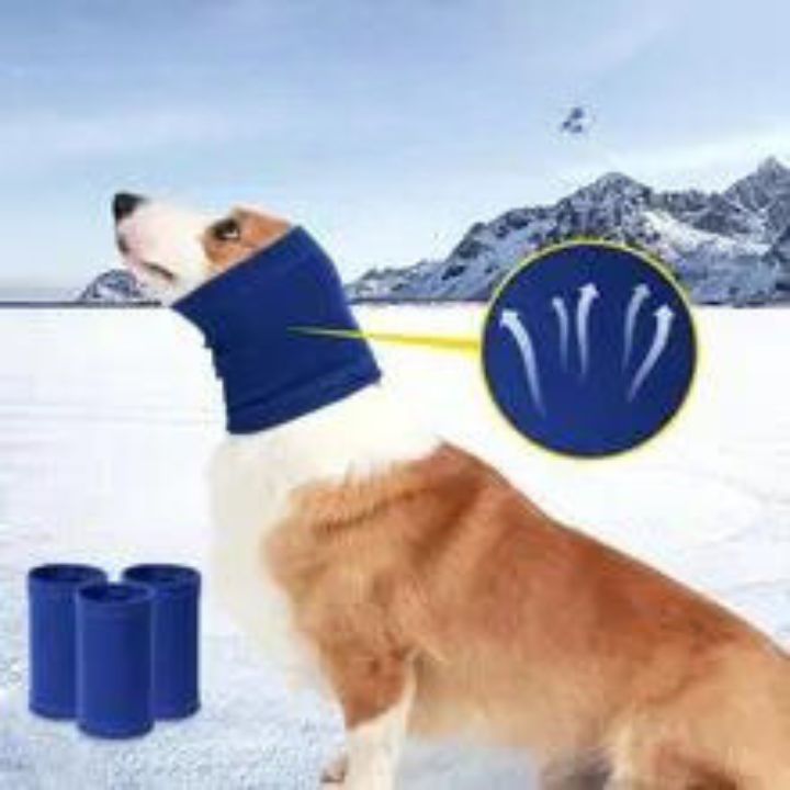 CACHE-OREILLES INDISPENSABLE | FUNNY CAP ™ - Chien-enchante