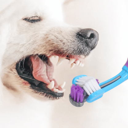 BROSSE À DENT POUR CHIEN | TOTAL CLEAN™ - Chien - enchante