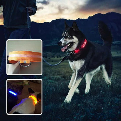 COLLIERS LUMINEUX POUR CHIENS | SAFETY COLLAR™ - Chien - enchante