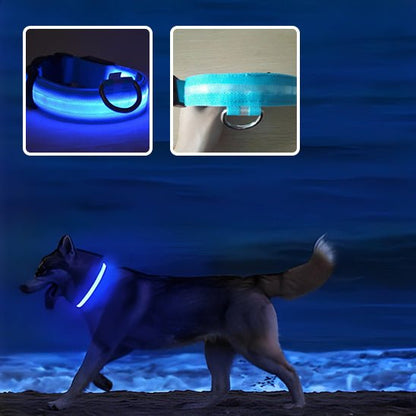 COLLIERS LUMINEUX POUR CHIENS | SAFETY COLLAR™ - Chien - enchante