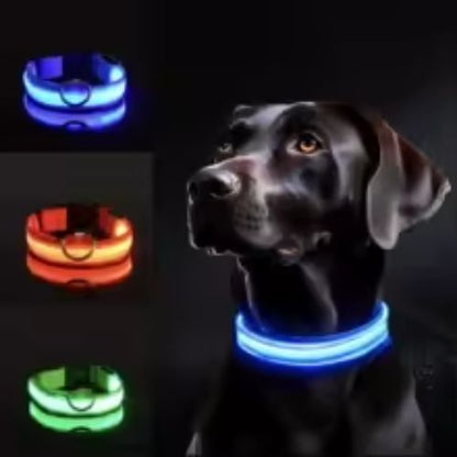 COLLIERS LUMINEUX POUR CHIENS | SAFETY COLLAR™ - Chien - enchante