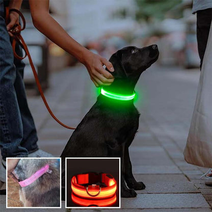 COLLIERS LUMINEUX POUR CHIENS | SAFETY COLLAR™ - Chien - enchante