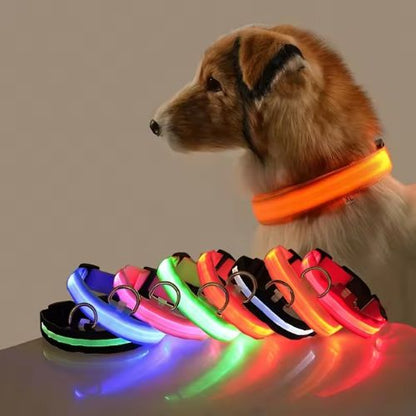 COLLIERS LUMINEUX POUR CHIENS | SAFETY COLLAR™ - Chien - enchante