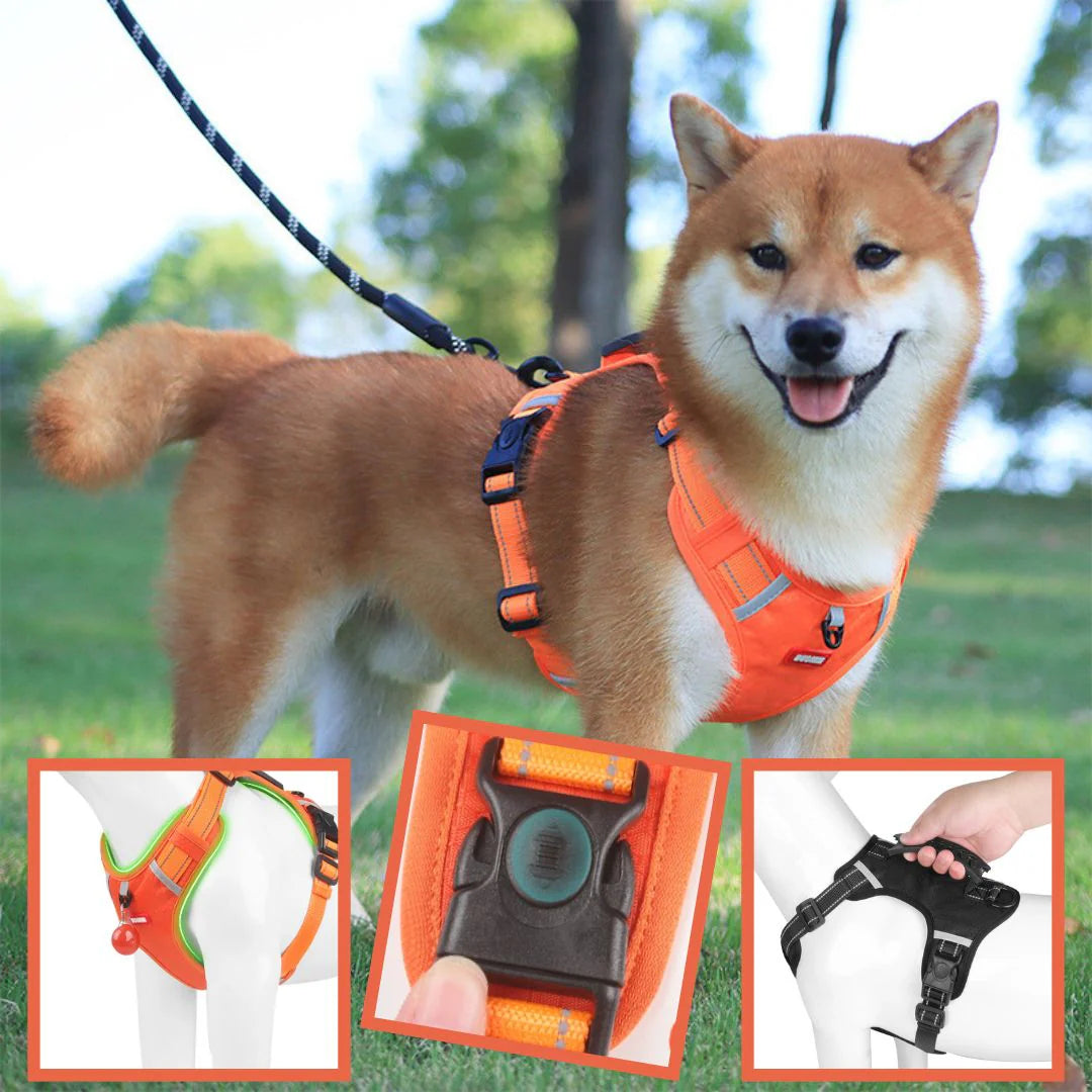 HARNAIS CHIEN ANTI TRACTION | SAFETY WALK ™