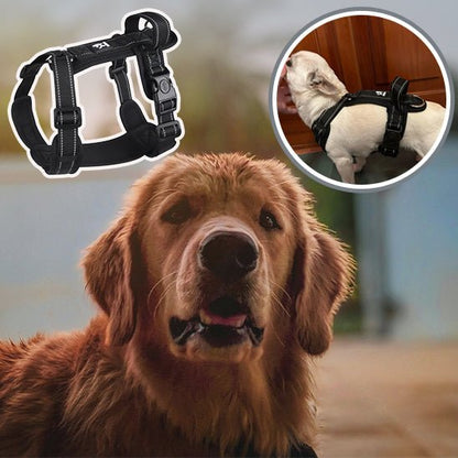 HARNAIS CHIEN | ANTI ÉTRANGLEMENT™ - Chien - enchante