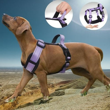 HARNAIS CHIEN | ANTI ÉTRANGLEMENT™ - Chien - enchante