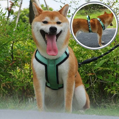 HARNAIS CHIEN | ANTI ÉTRANGLEMENT™ - Chien - enchante