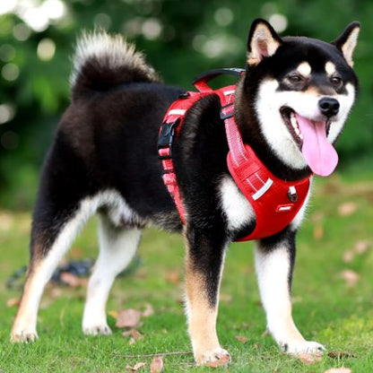 HARNAIS CHIEN ANTI TRACTION | SAFETY WALK ™ - Chien - enchante