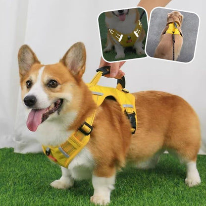 HARNAIS CHIEN ANTI TRACTION | SAFETY WALK ™ - Chien - enchante