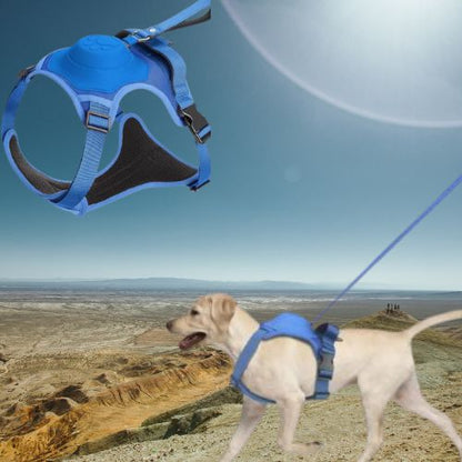 HARNAIS CHIEN ET LAISSE RÉTRACTABLE: LE DUO PARFAIT™ - Chien - enchante