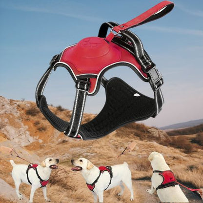 HARNAIS CHIEN ET LAISSE RÉTRACTABLE: LE DUO PARFAIT™ - Chien - enchante