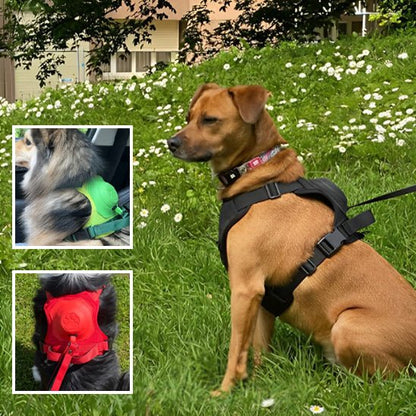 HARNAIS CHIEN ET LAISSE RÉTRACTABLE: LE DUO PARFAIT™ - Chien - enchante