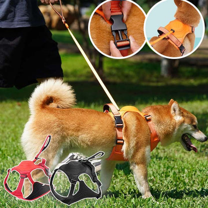 HARNAIS CHIEN ET LAISSE RÉTRACTABLE: LE DUO PARFAIT™ - Chien - enchante