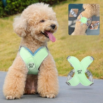 HARNAIS CHIEN | PITOU™ - Chien - enchante