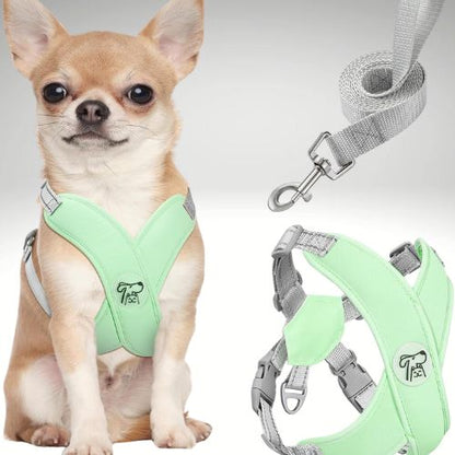 HARNAIS CHIEN | PITOU™ - Chien - enchante