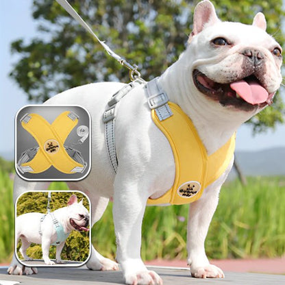 HARNAIS CHIEN | PITOU™ - Chien - enchante