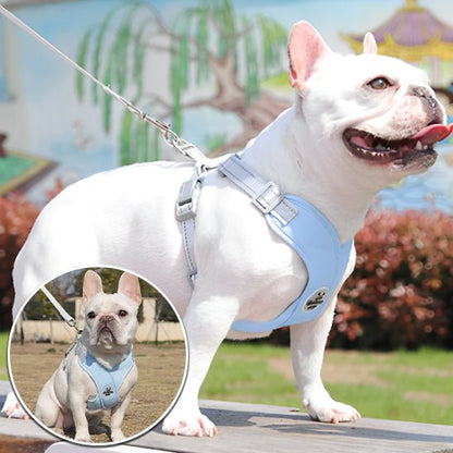 HARNAIS CHIEN | PITOU™ - Chien - enchante