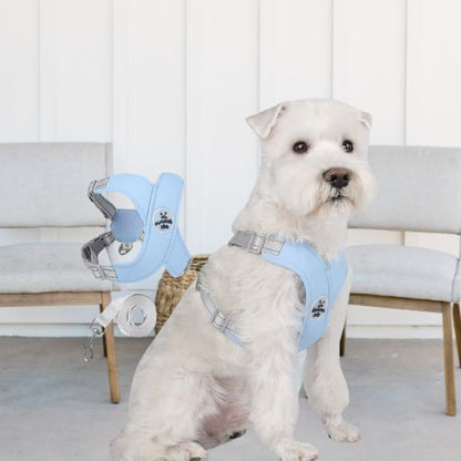 HARNAIS CHIEN | PITOU™ - Chien - enchante