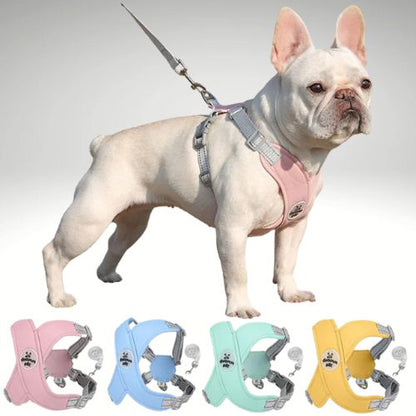 HARNAIS CHIEN | PITOU™ - Chien - enchante