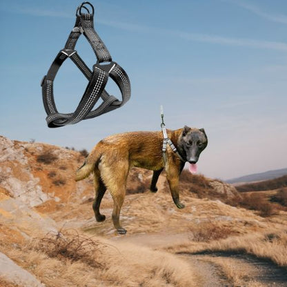 HARNAIS CHIEN | SWEET DOGGY™ - Chien - enchante