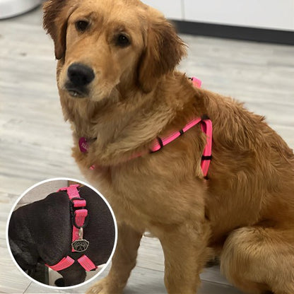 HARNAIS CHIEN | SWEET DOGGY™ - Chien - enchante