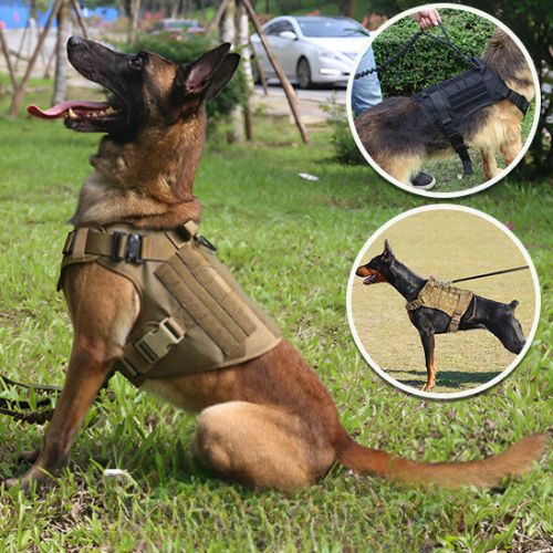 HARNAIS CHIEN | TACTICAL ONE™ - Chien - enchante