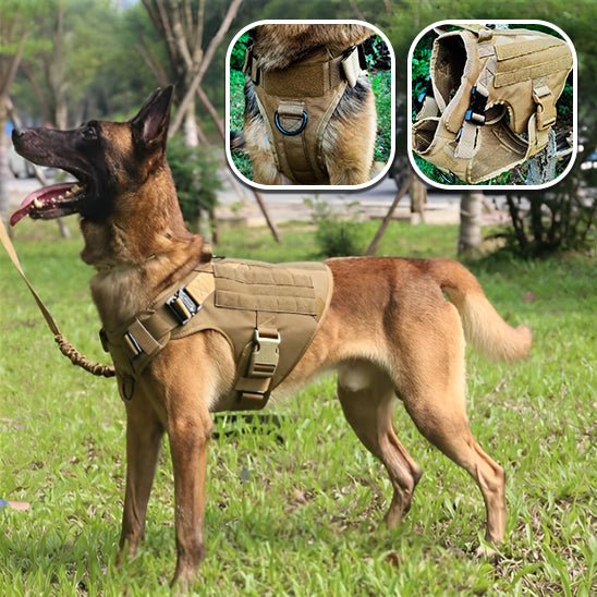 HARNAIS CHIEN | TACTICAL ONE™ - Chien - enchante