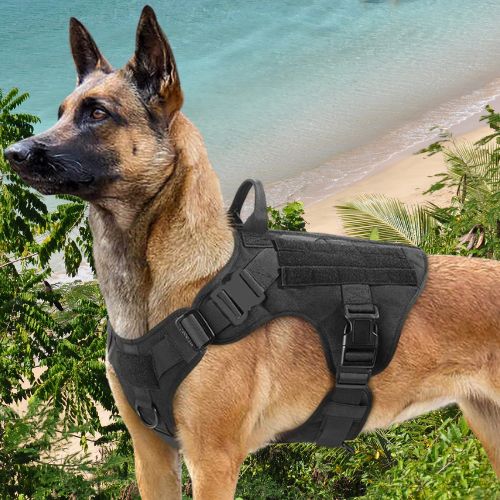 HARNAIS CHIEN | TACTICAL ONE™ - Chien - enchante