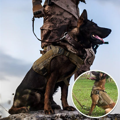 HARNAIS CHIEN | TACTICAL ONE™ - Chien - enchante