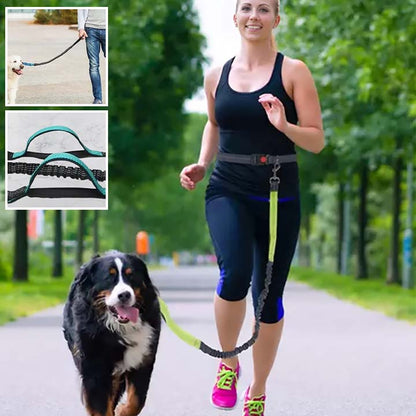 LAISSE CHIEN DOUBLE POIGNÉES | FREE HANDS ™ - Chien - enchante