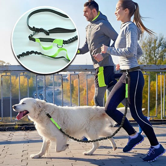 LAISSE CHIEN DOUBLE POIGNÉES | FREE HANDS ™ - Chien - enchante