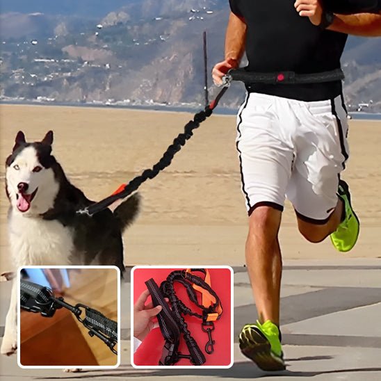 LAISSE CHIEN DOUBLE POIGNÉES | FREE HANDS ™ - Chien - enchante