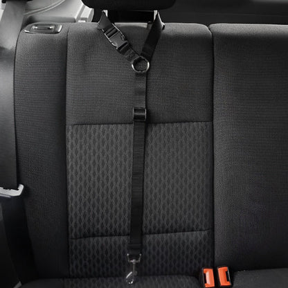 LAISSE CHIEN | SAFE SECURITY™ - Chien - enchante