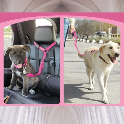 LAISSE CHIEN | SAFE SECURITY™ - Chien - enchante