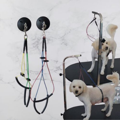 LAISSE CHIEN | TOILETTAGE™ - Chien - enchante