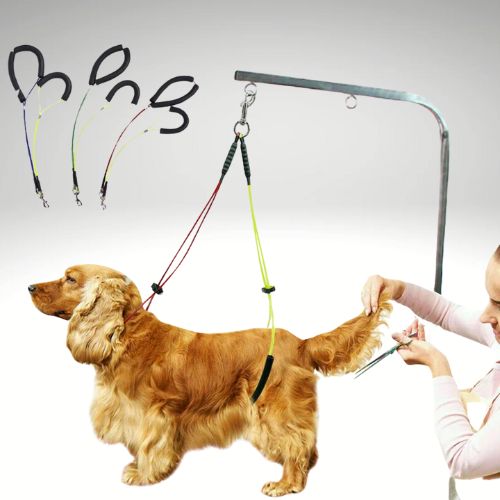 LAISSE CHIEN | TOILETTAGE™ - Chien - enchante
