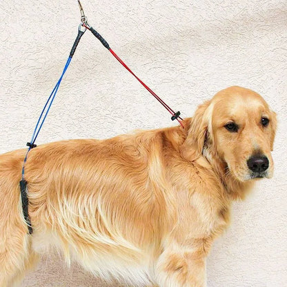 LAISSE CHIEN | TOILETTAGE™ - Chien - enchante