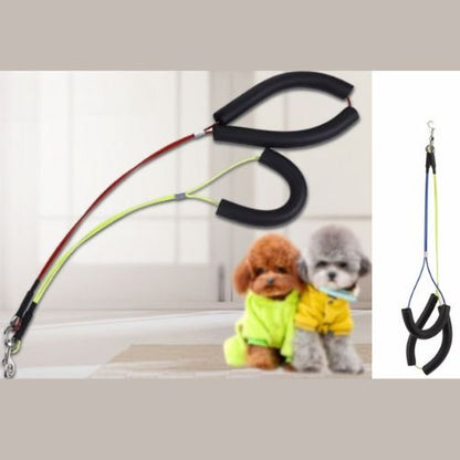 LAISSE CHIEN | TOILETTAGE™ - Chien - enchante